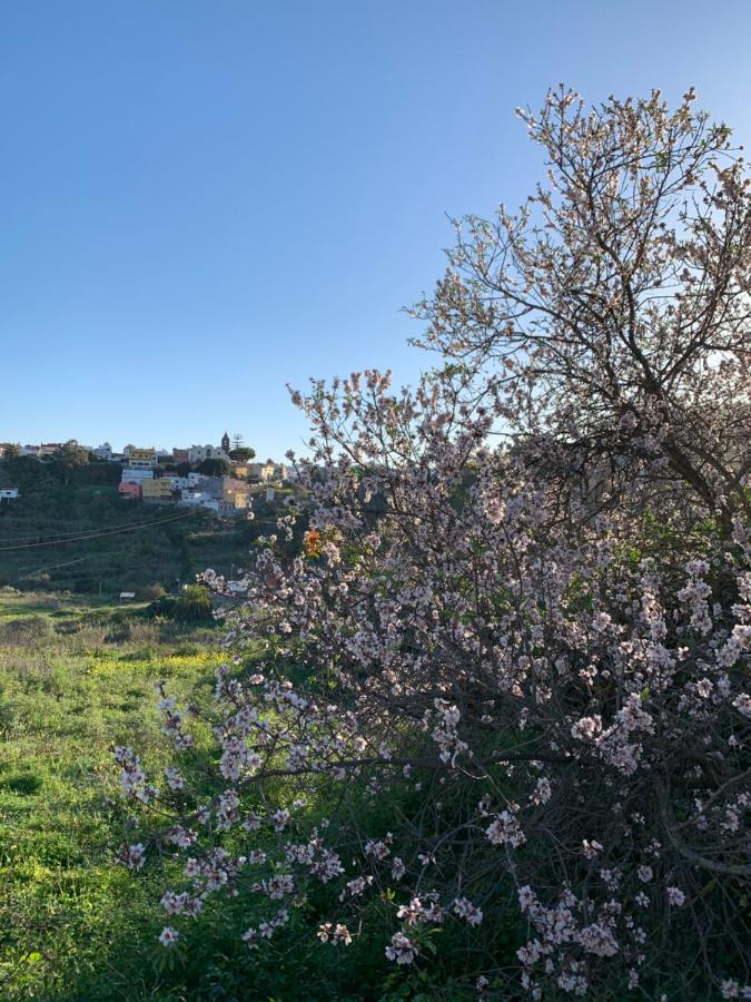 El Sosiego, Der Rueckzugsort Santa Brígida Buitenkant foto